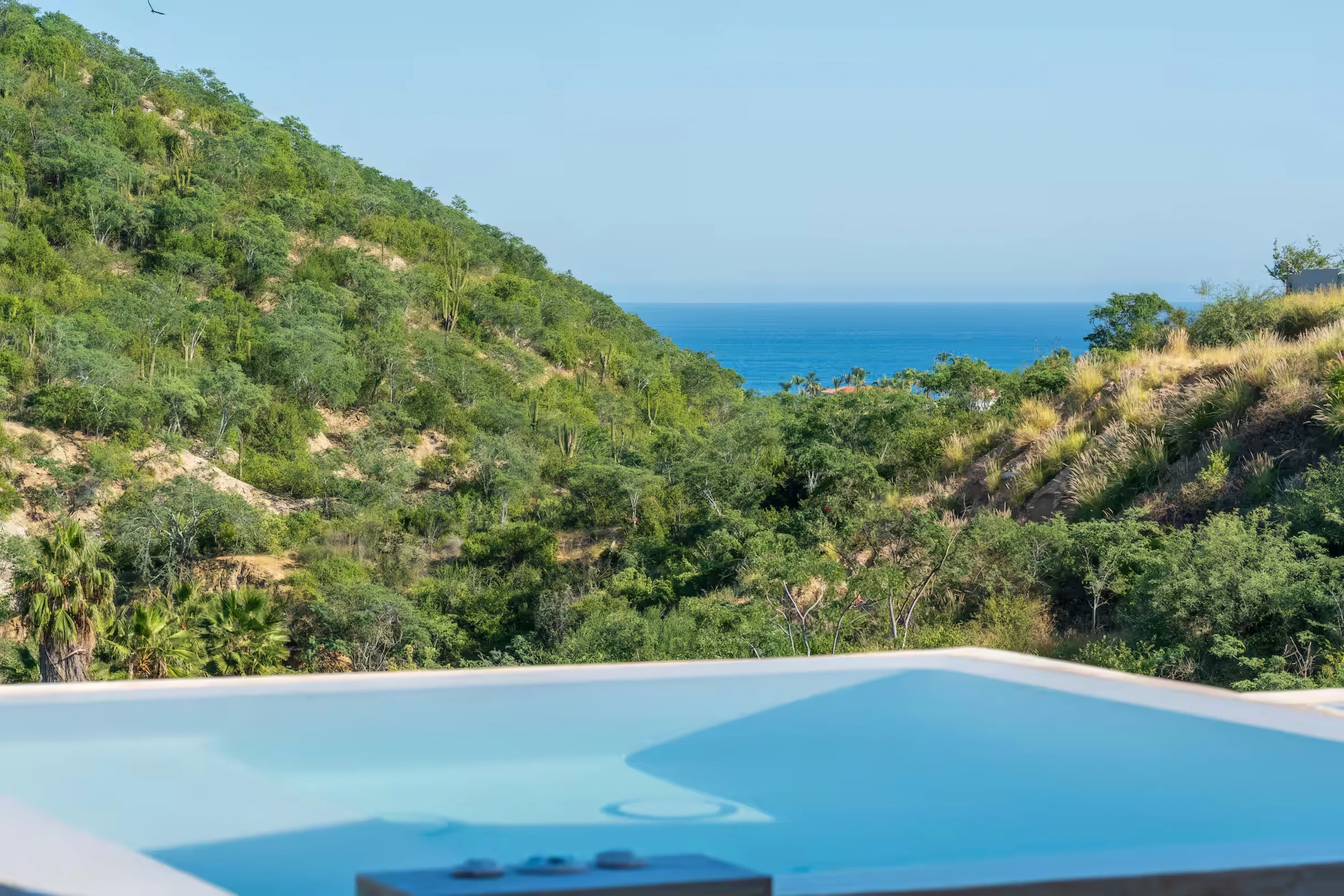 Wander Querencia Modern #54