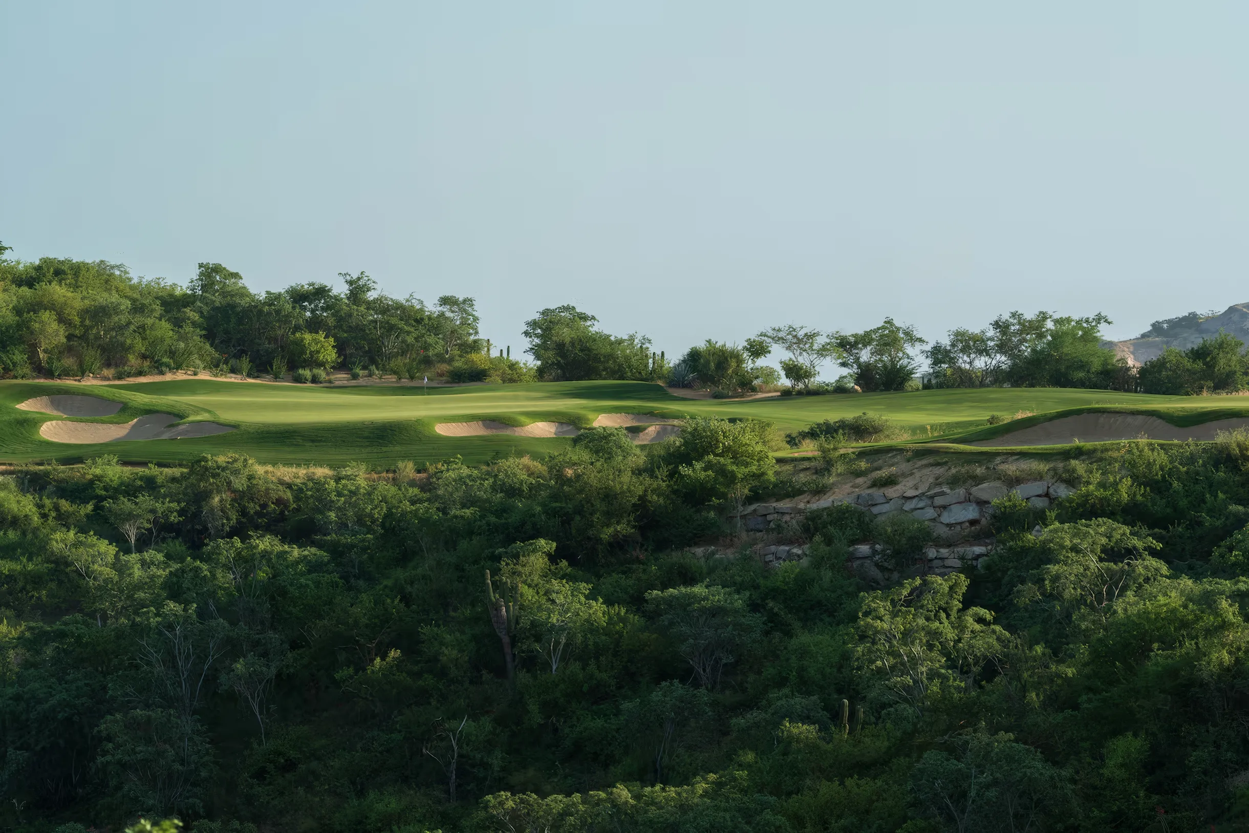 Wander Querencia Modern #57