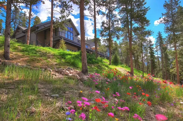 Wander Breckenridge Mountain