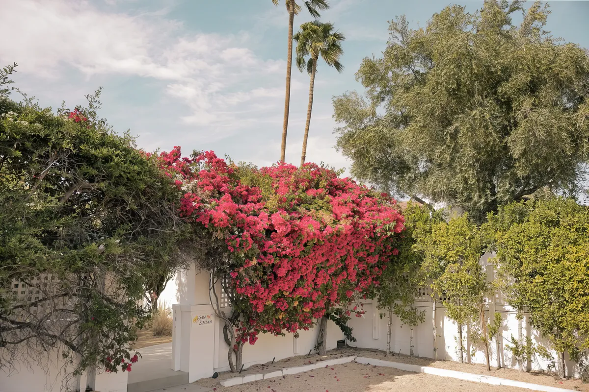 Wander Palm Springs Estate