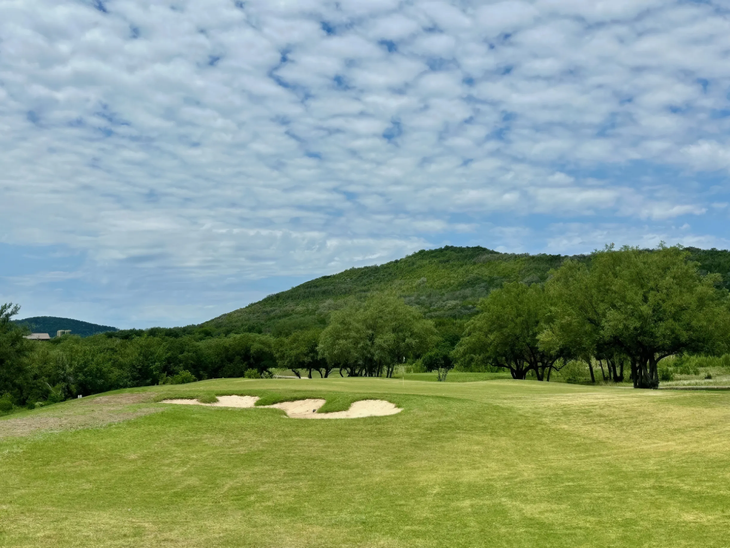 Near Frio~Free Golf~Pool~Hot tub~2 Kitchens~For 30 • White Horse Frio #54