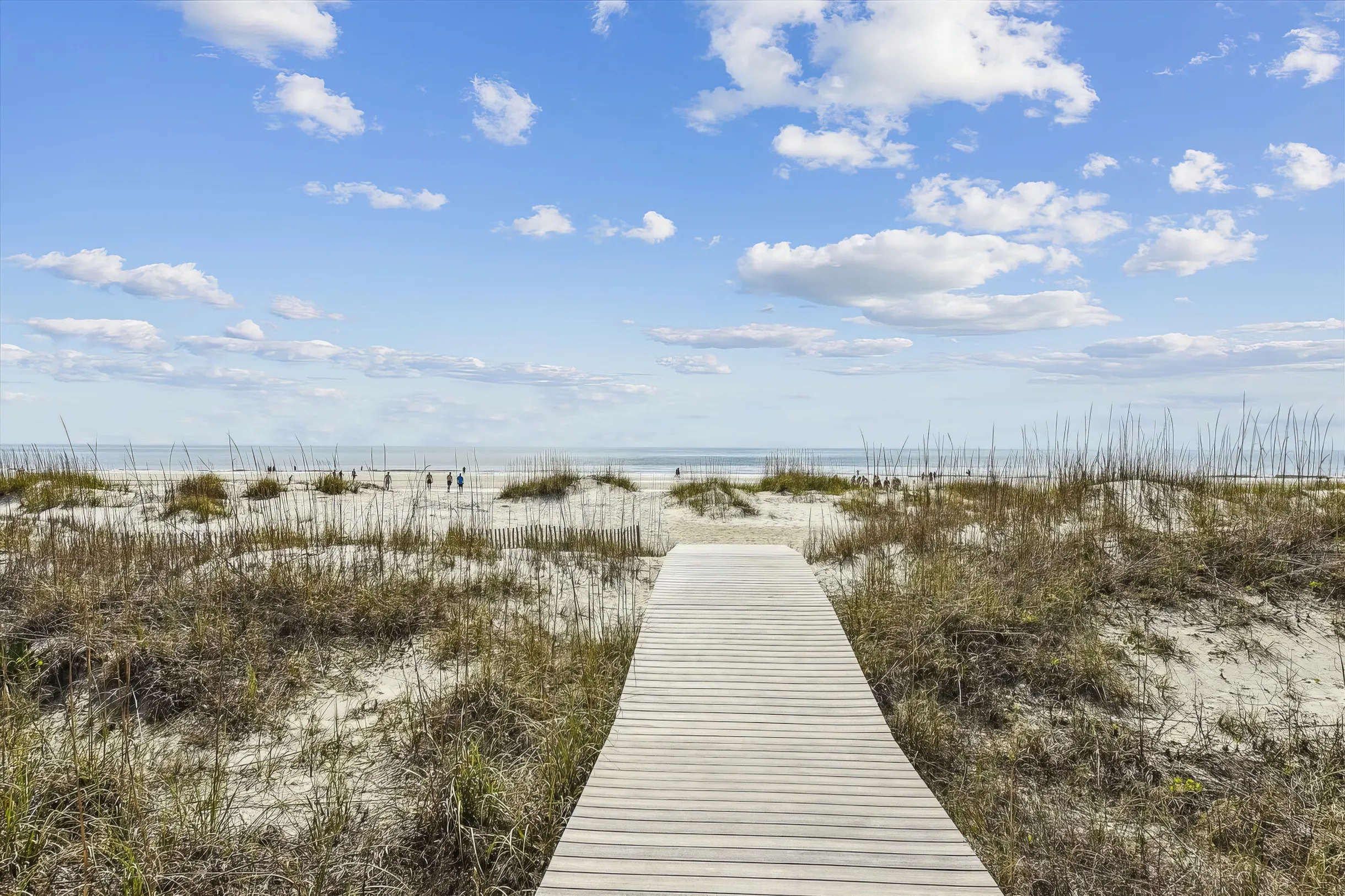 Wander Hilton Head Dunes #57