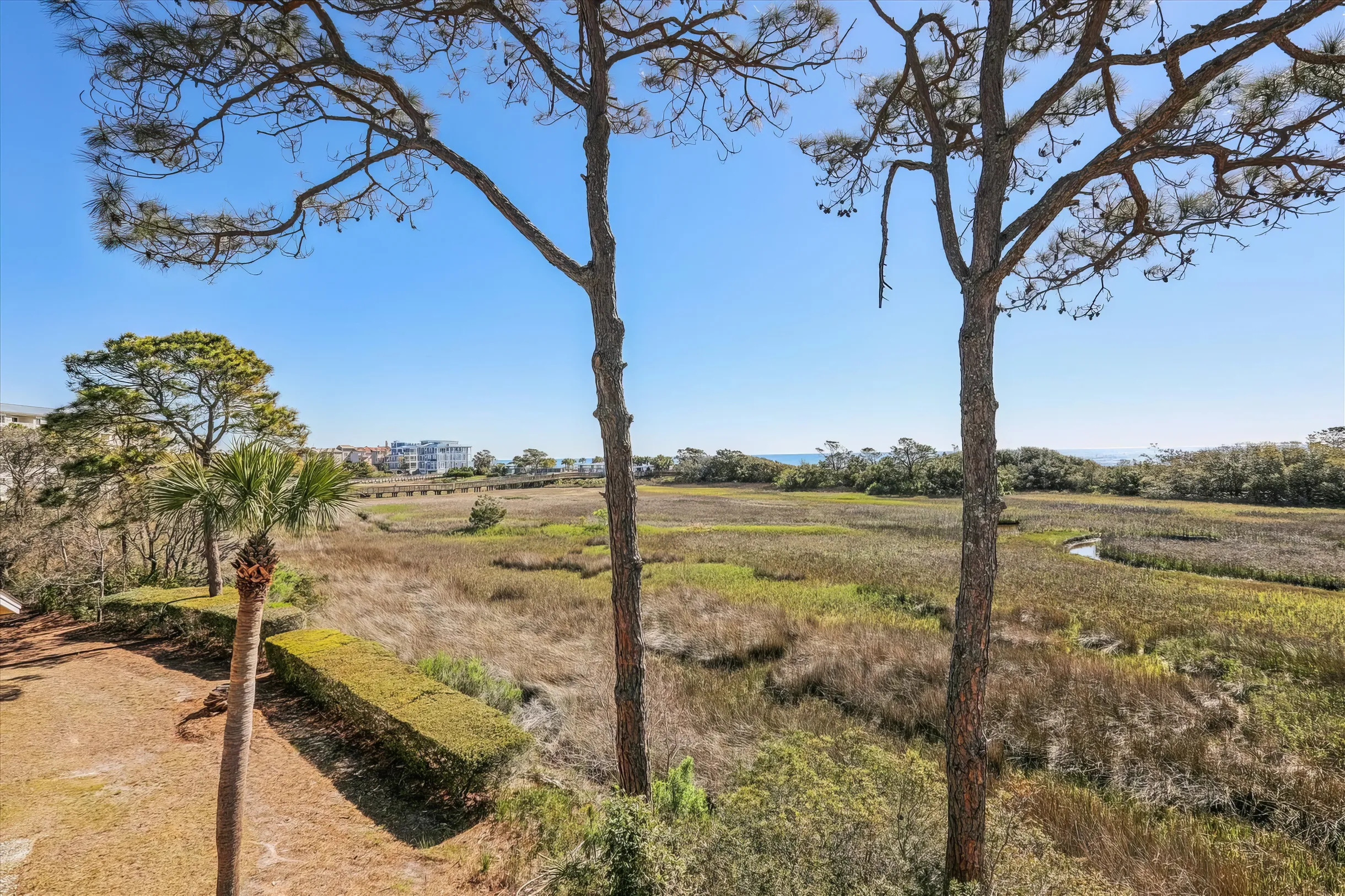 Wander Hilton Head Bliss #69