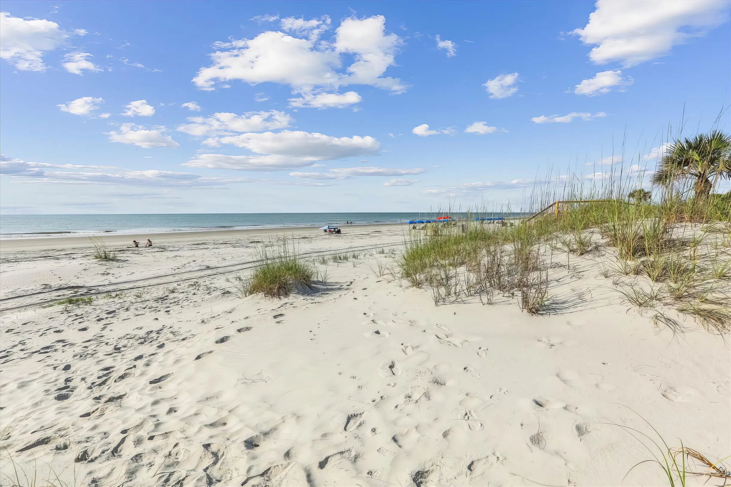 Wander Hilton Head Paradise #60