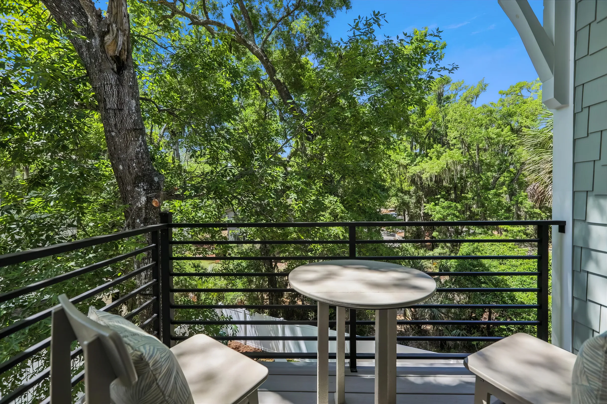 Wander Hilton Head Forest #15