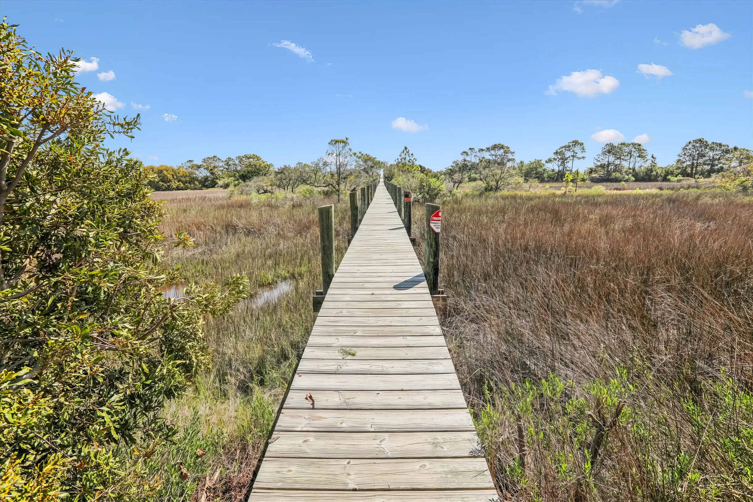 Wander Hilton Head Sea #55