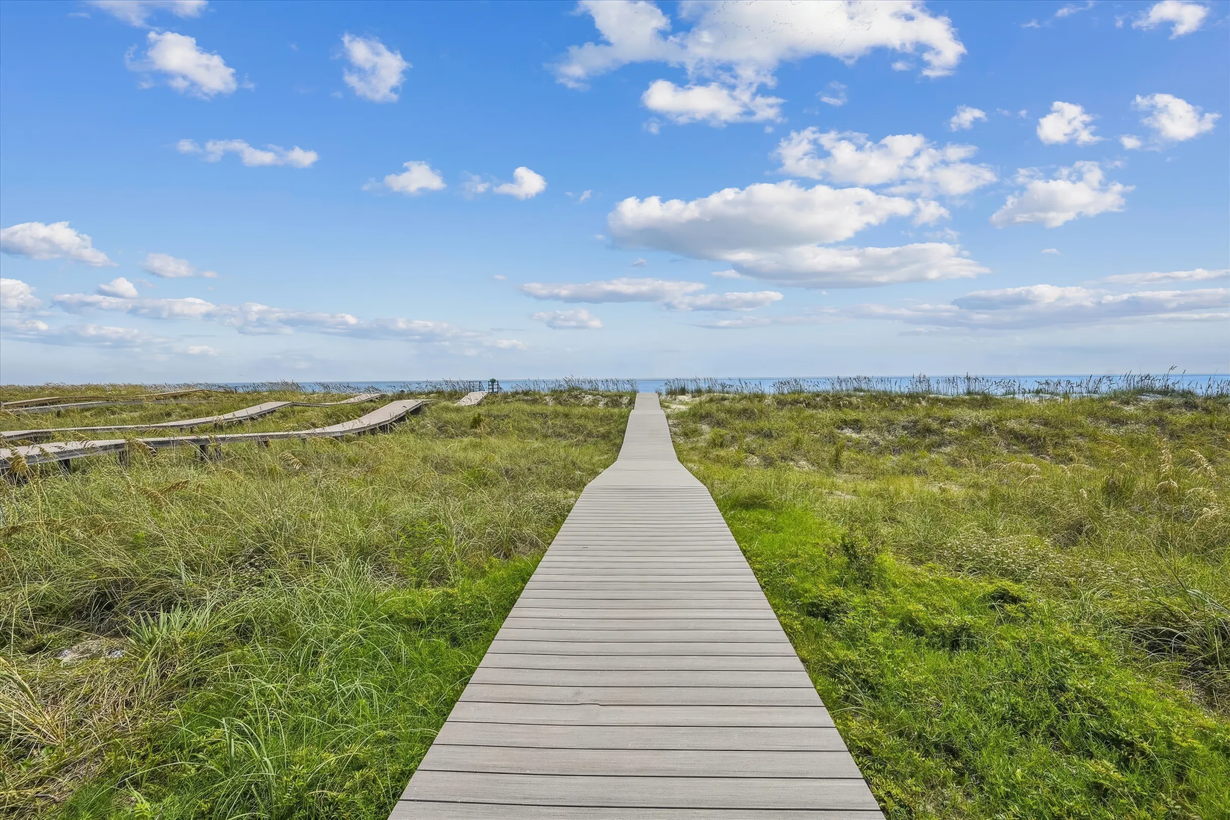 Wander Hilton Head Mirage #62