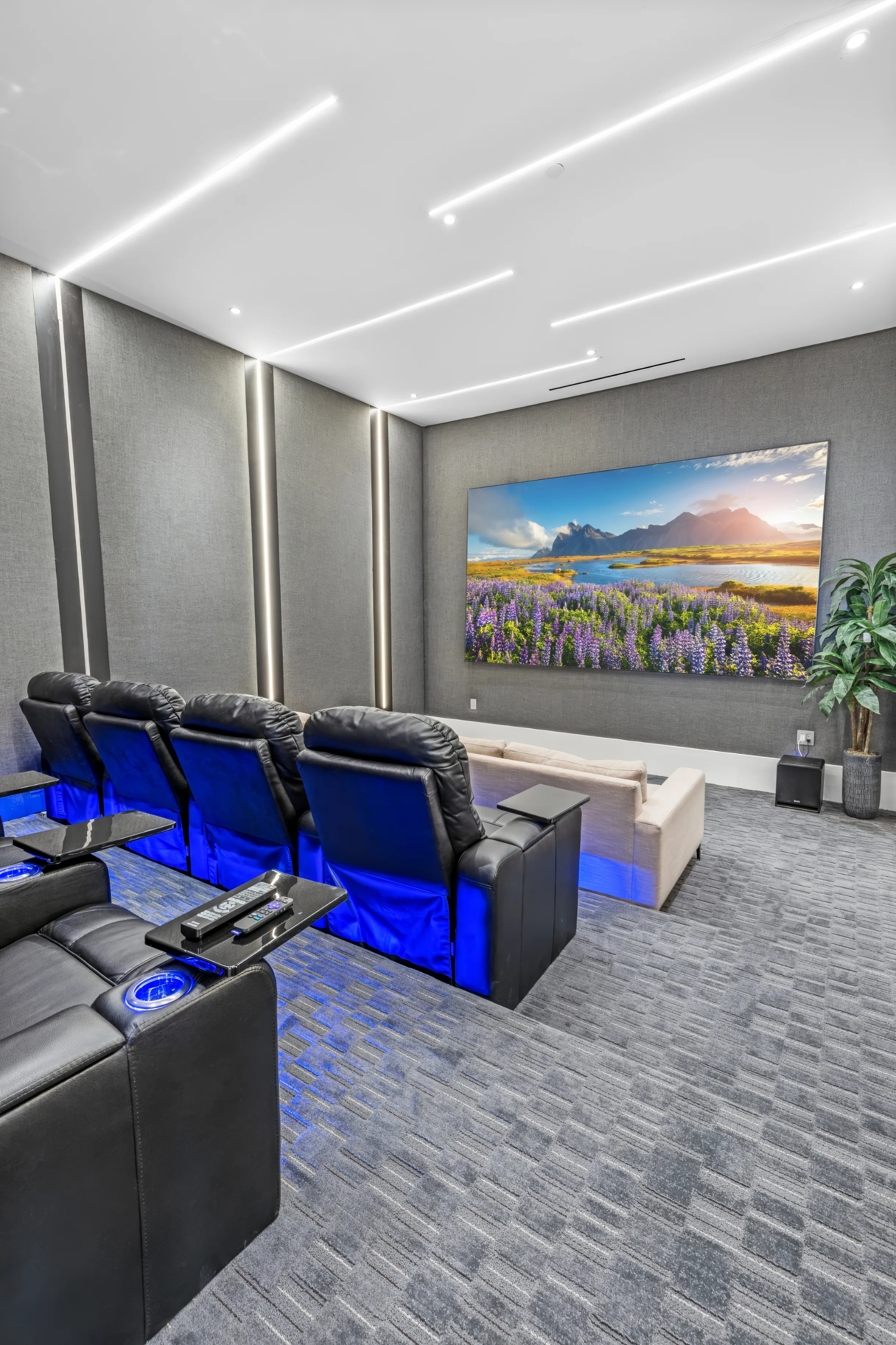 Wander Tarzana Modern #22