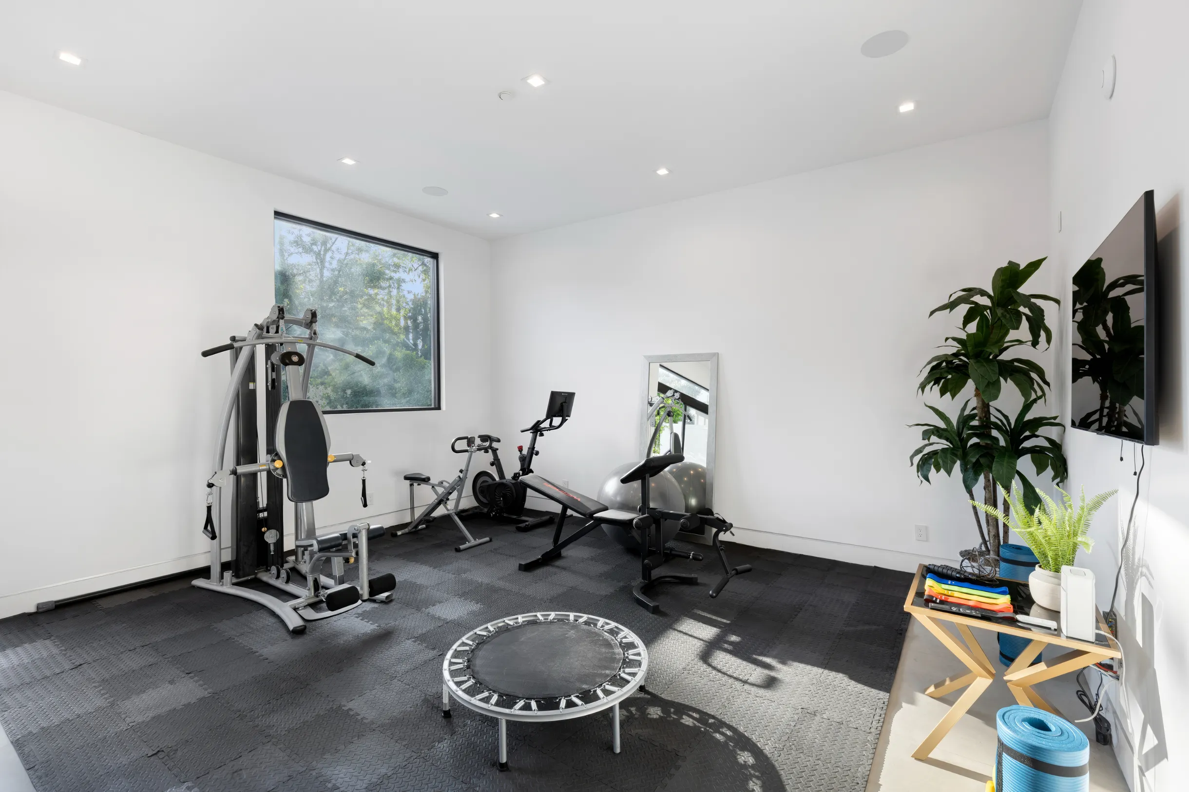 Wander Tarzana Modern #23