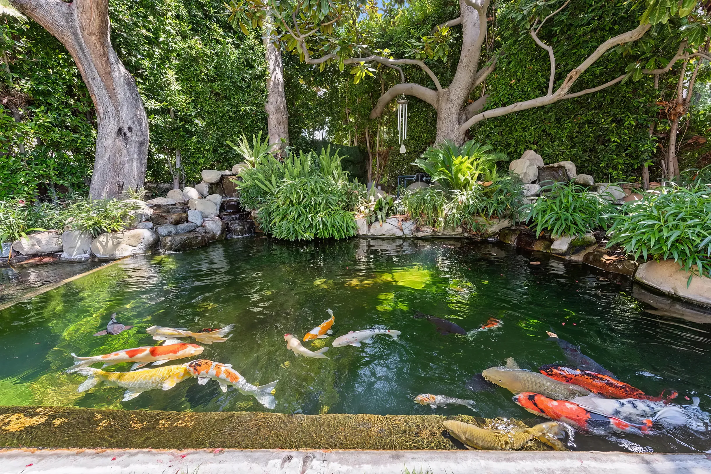 Wander West Hollywood Royale #58