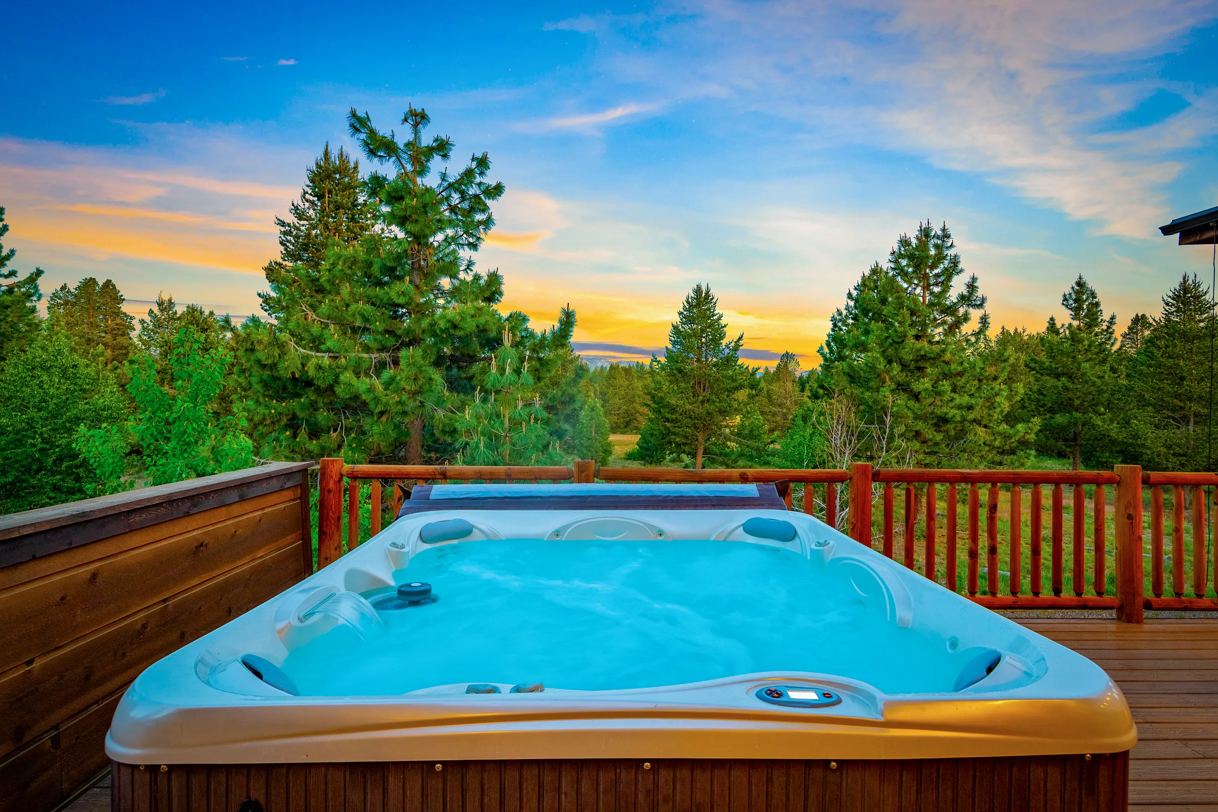 Wander Tahoe Meadow #79