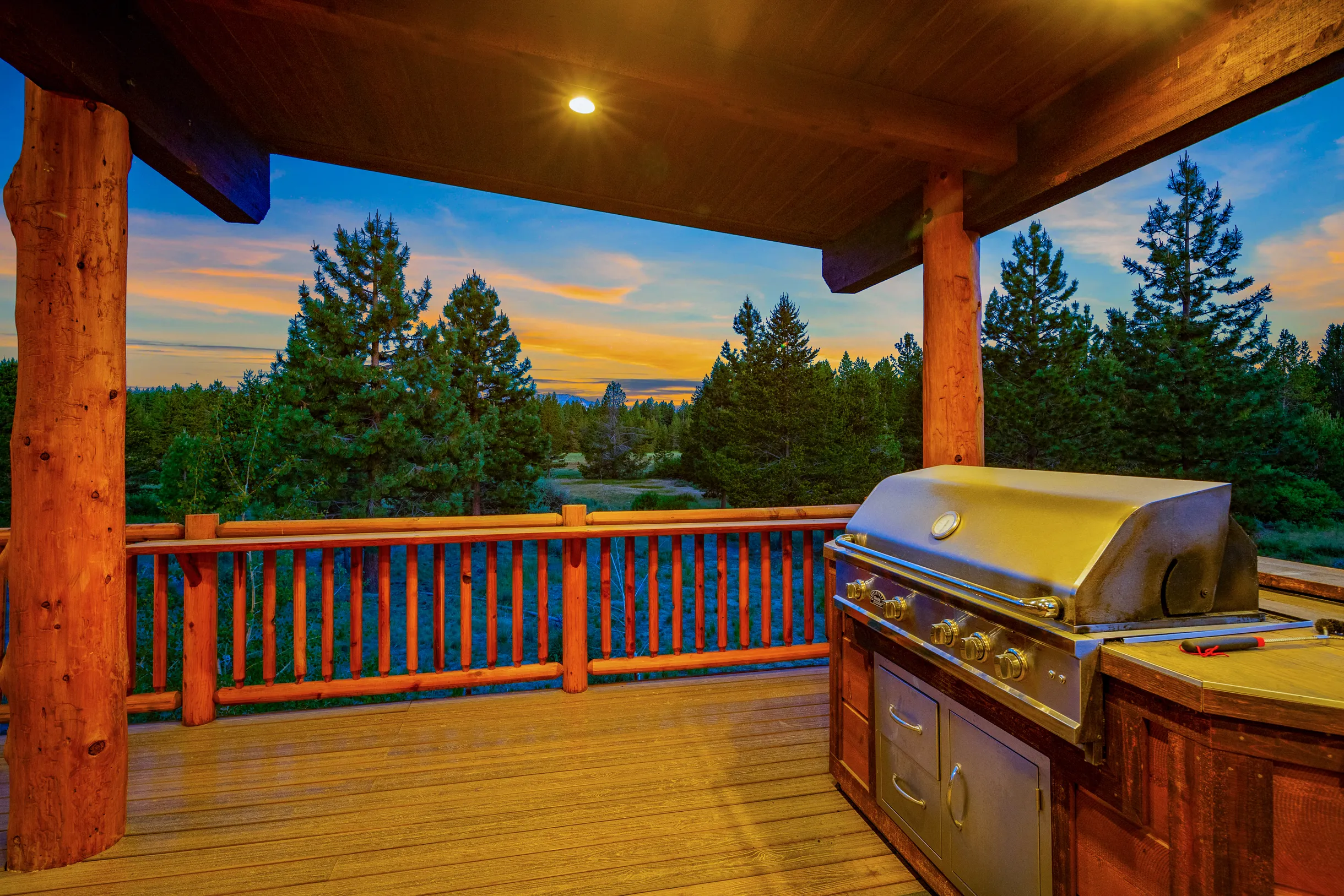 Wander Tahoe Meadow #154