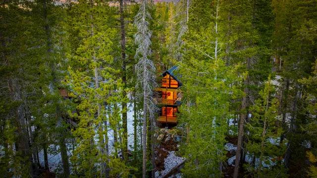 Wander Donner Summit