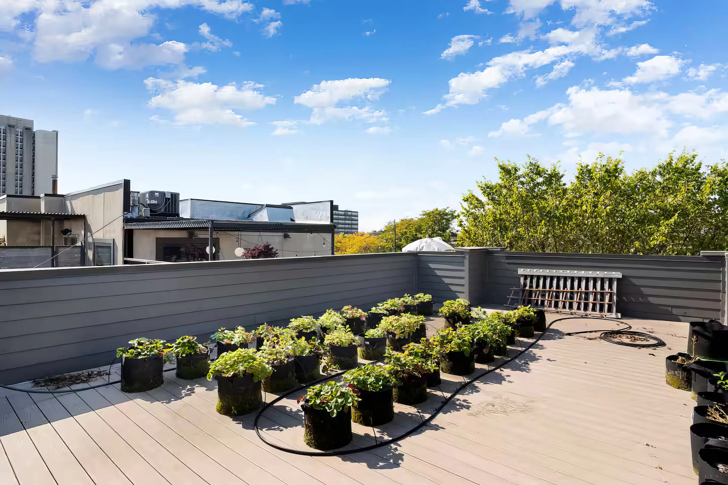 Wander Chicago Modern #34