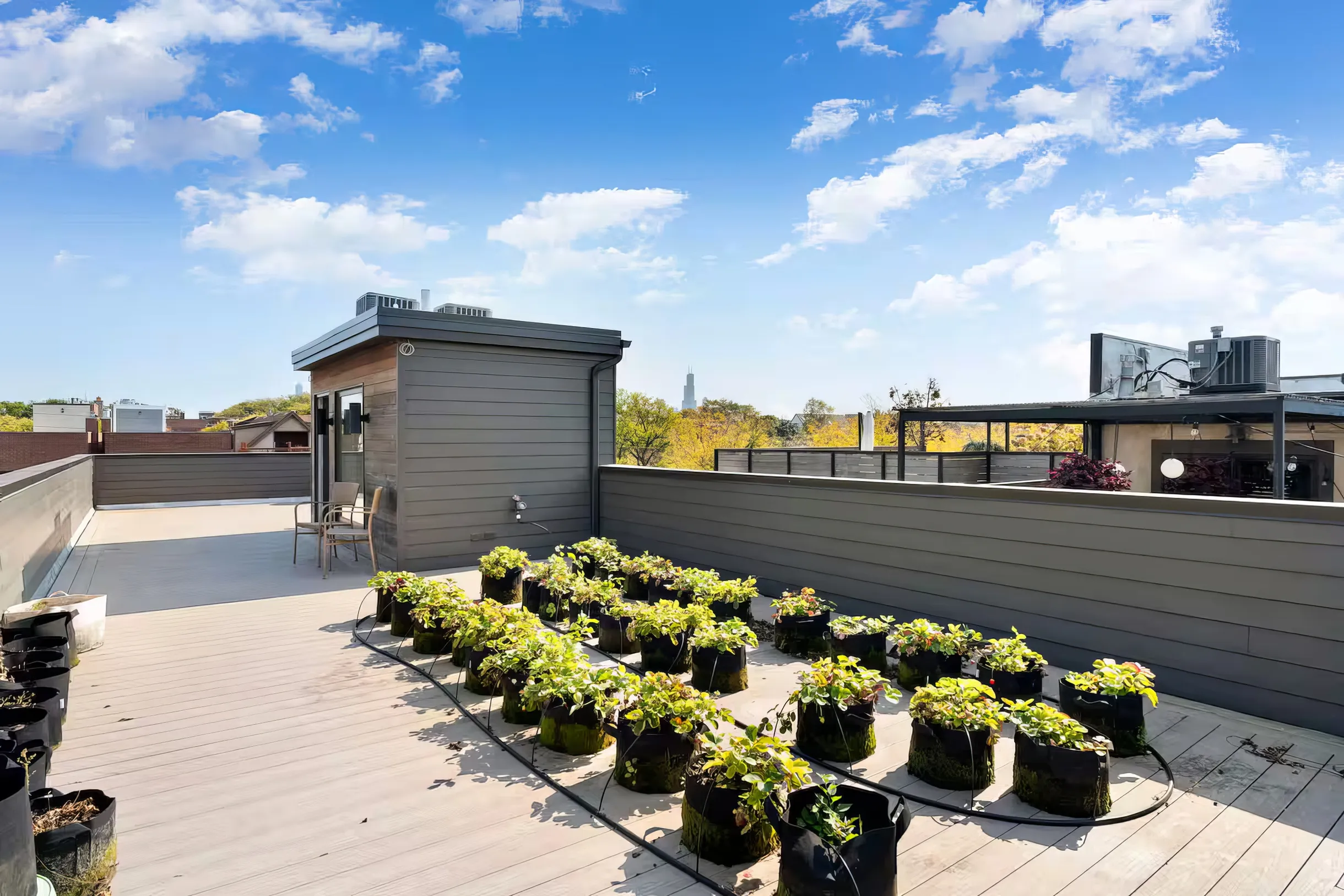 Wander Chicago Modern #18