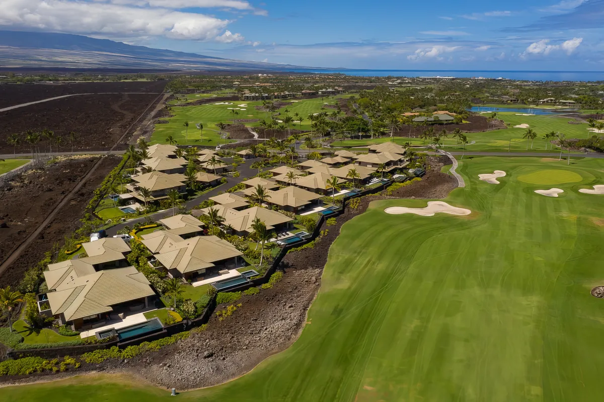 Wander Kauai Ferns #5