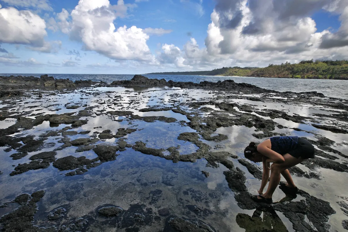 Ke Kai Nui at Kukuiula #29