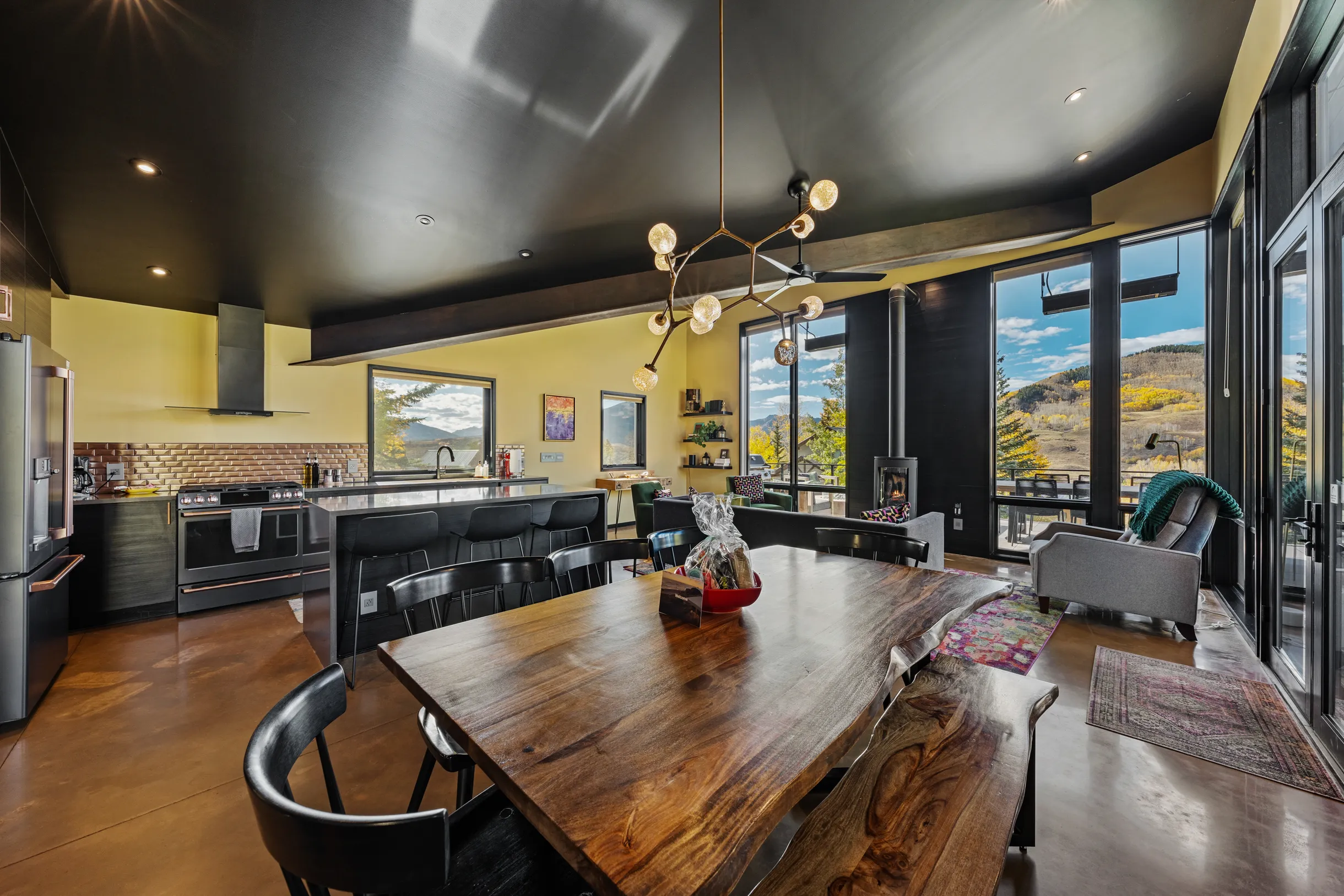 Wander Crested Butte Mountain #38