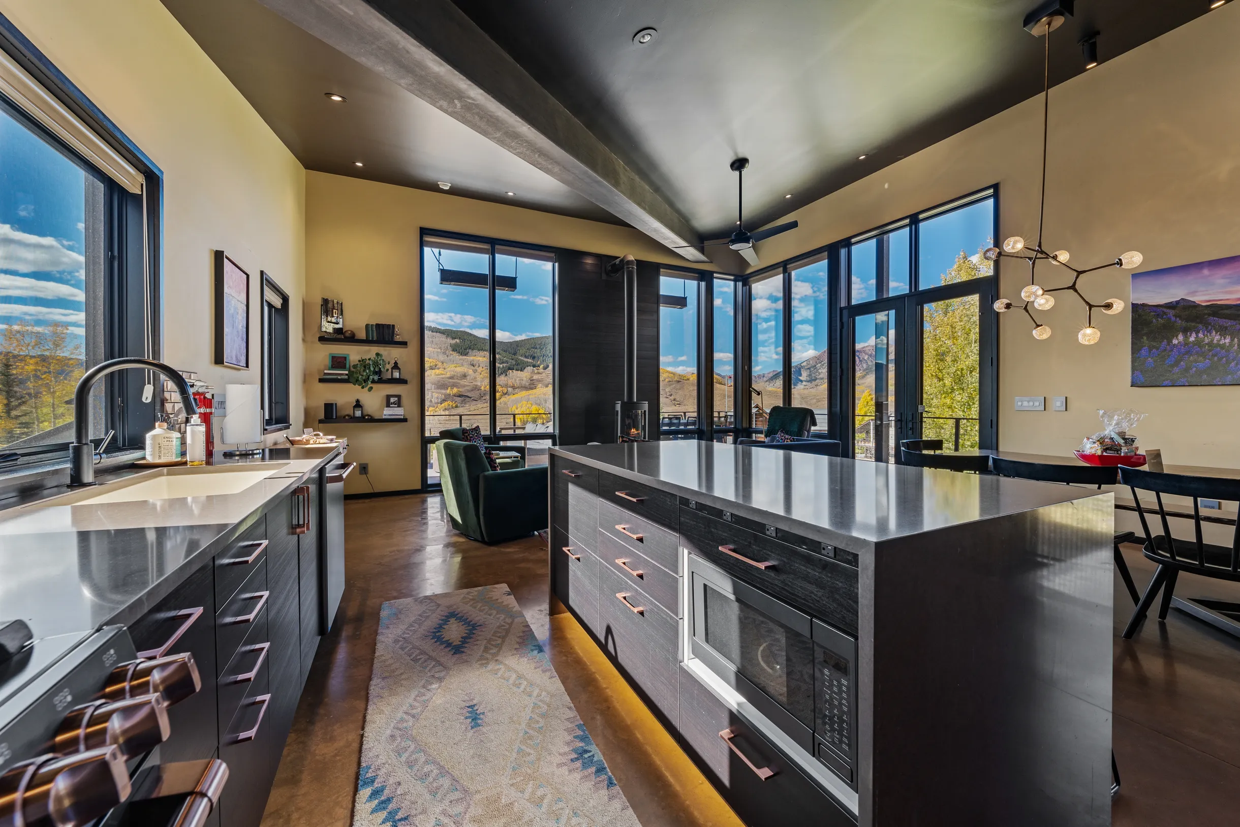 Wander Crested Butte Mountain #39