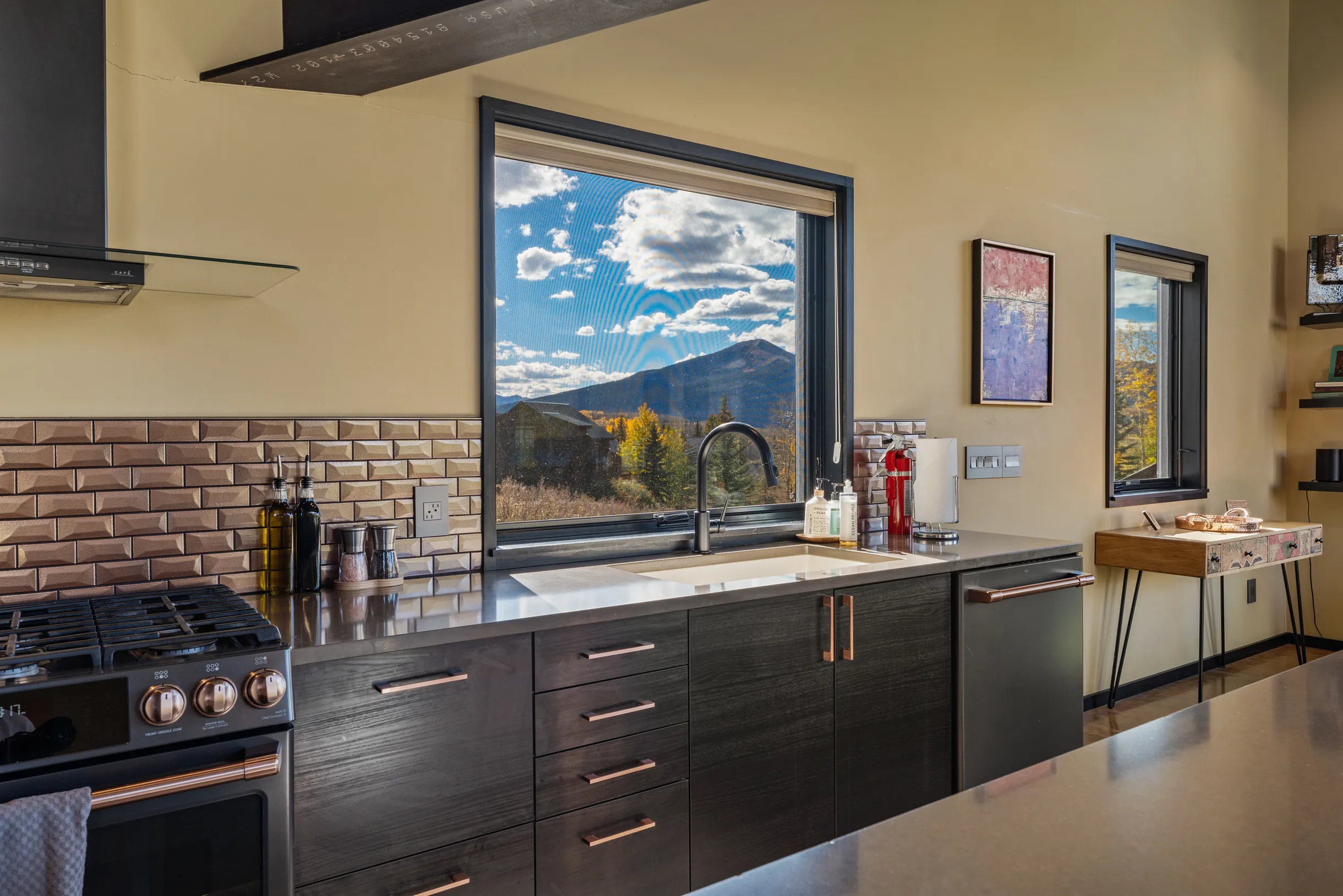 Wander Crested Butte Mountain #83