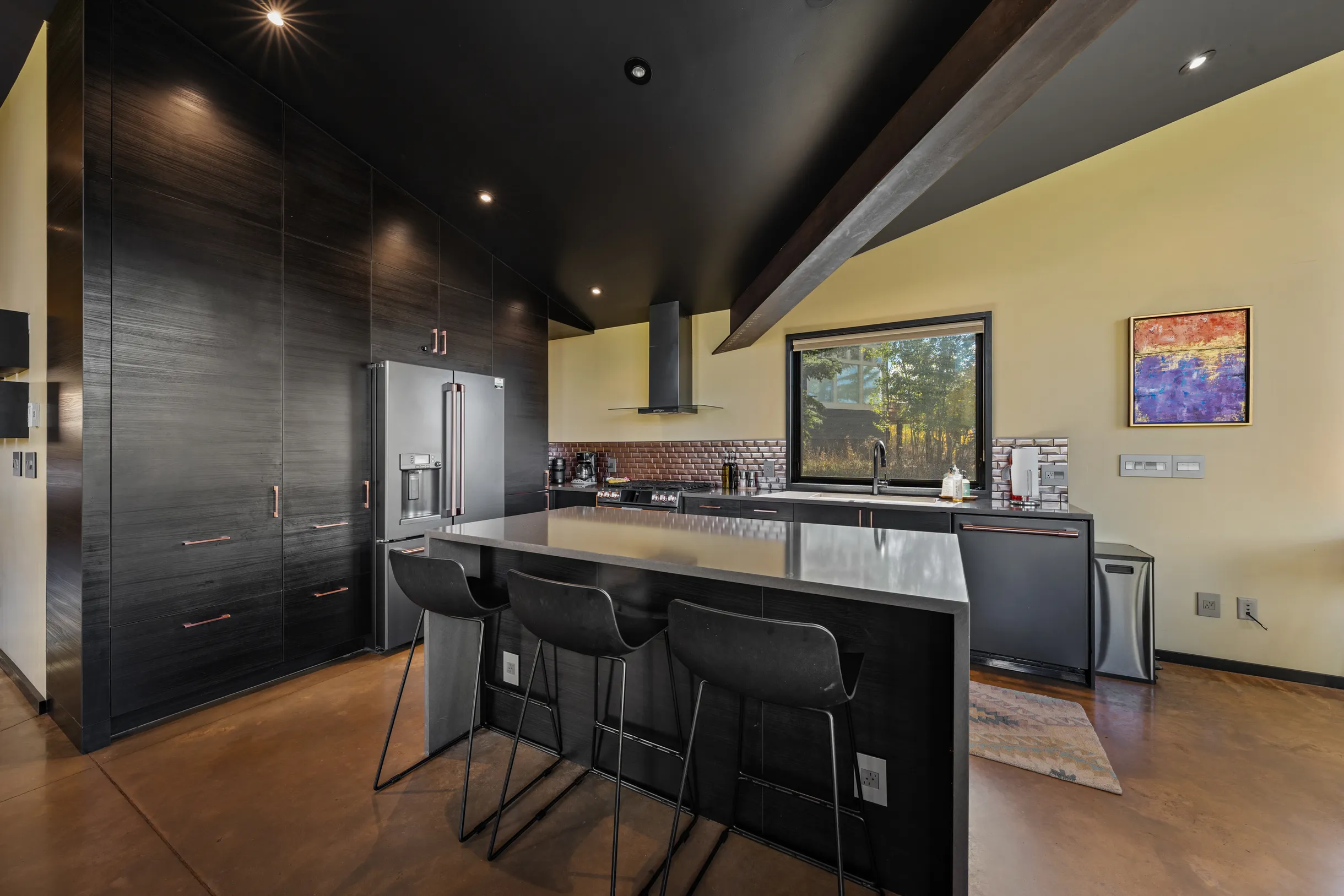 Wander Crested Butte Mountain #8