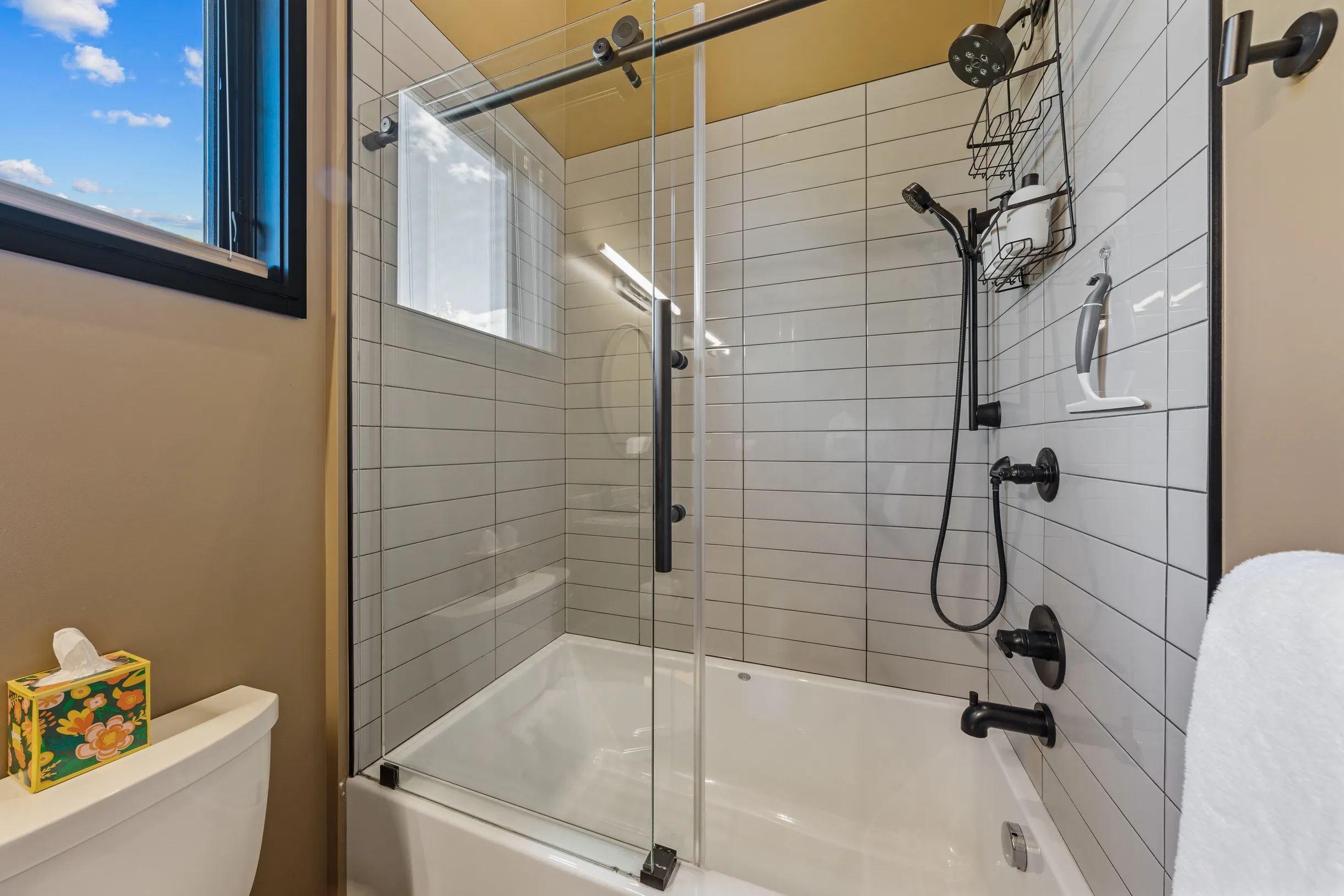 Wander Crested Butte Mountain #66