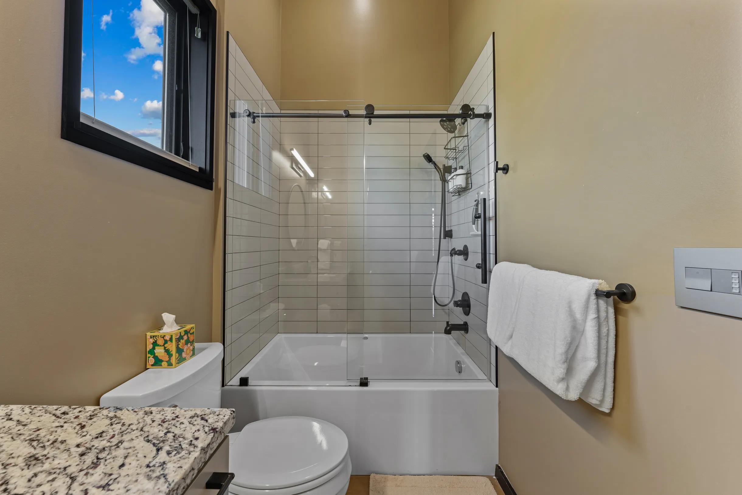 Wander Crested Butte Mountain #40