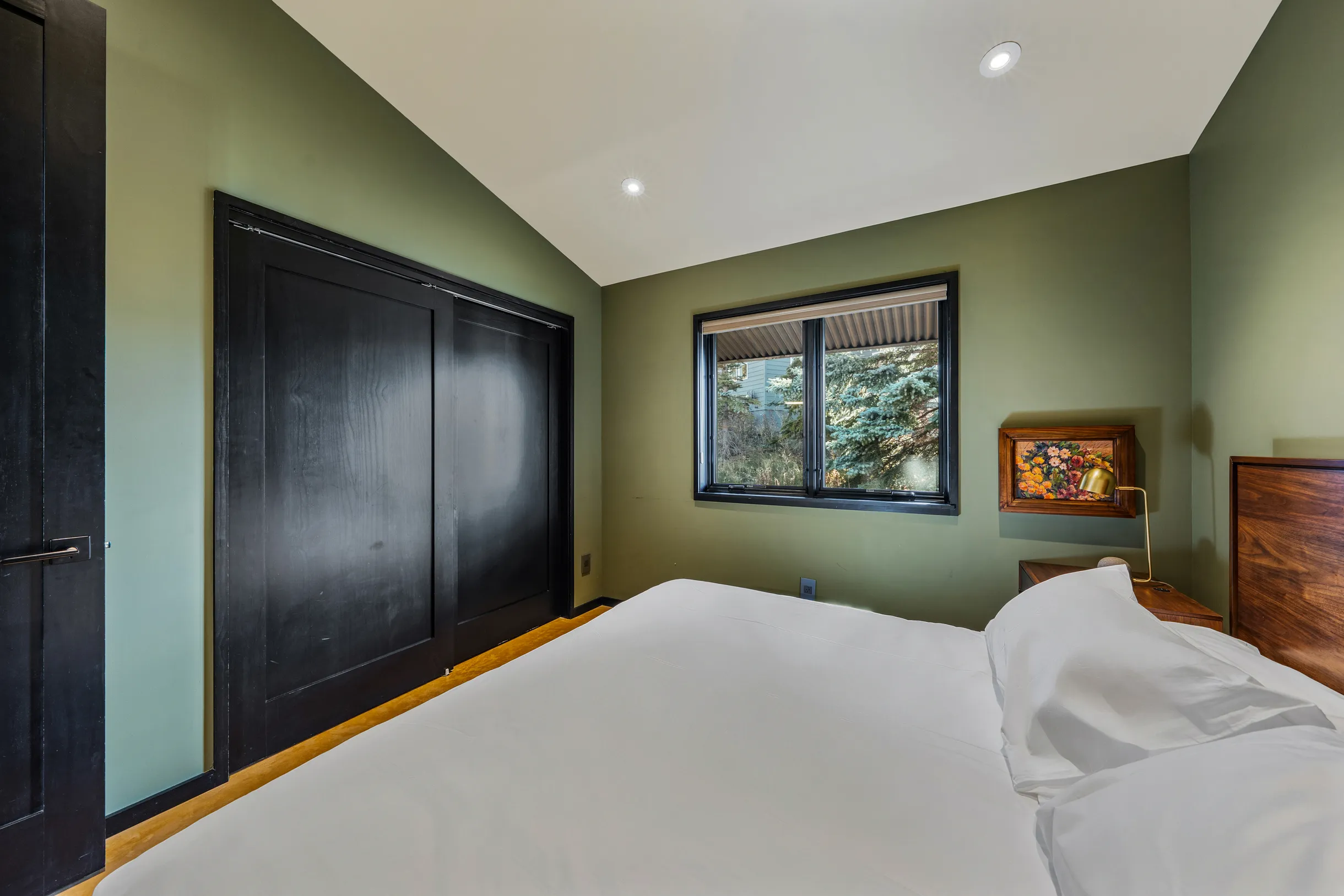 Wander Crested Butte Mountain #56