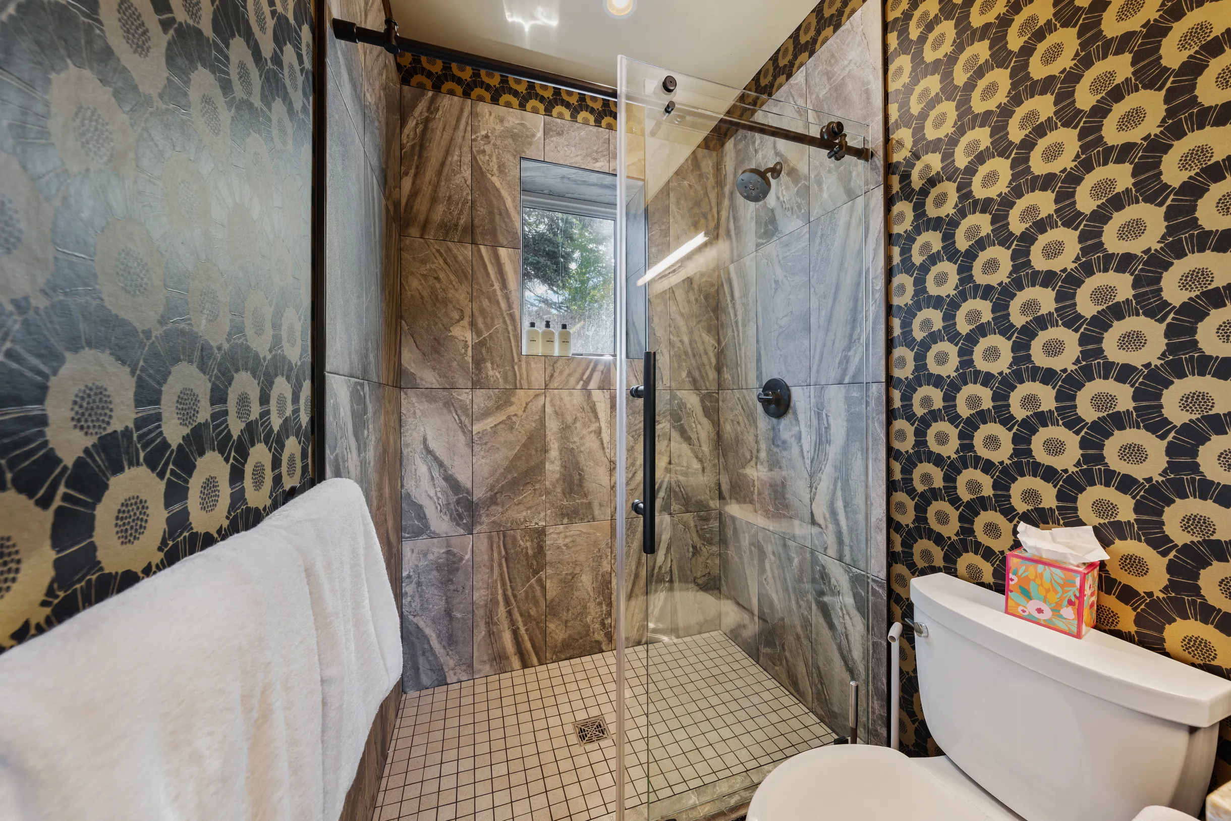 Wander Crested Butte Mountain #70