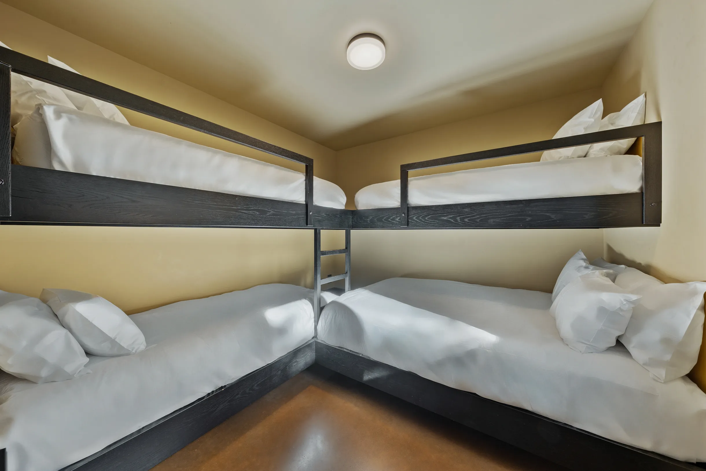 Wander Crested Butte Mountain #60