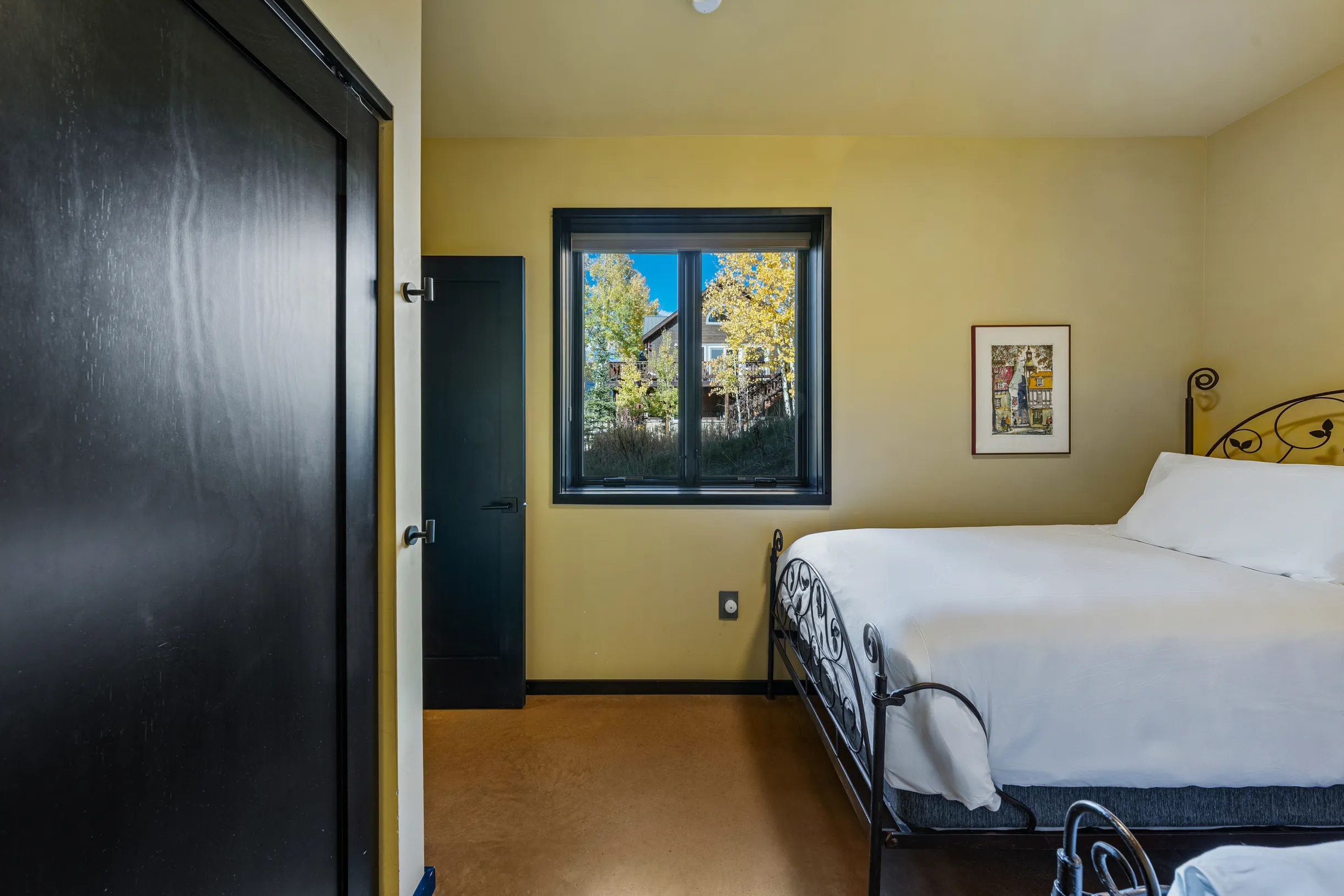 Wander Crested Butte Mountain #61