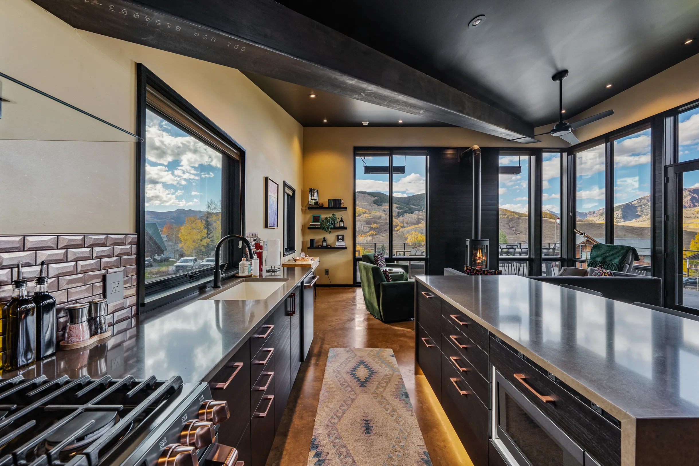 Wander Crested Butte Mountain #100