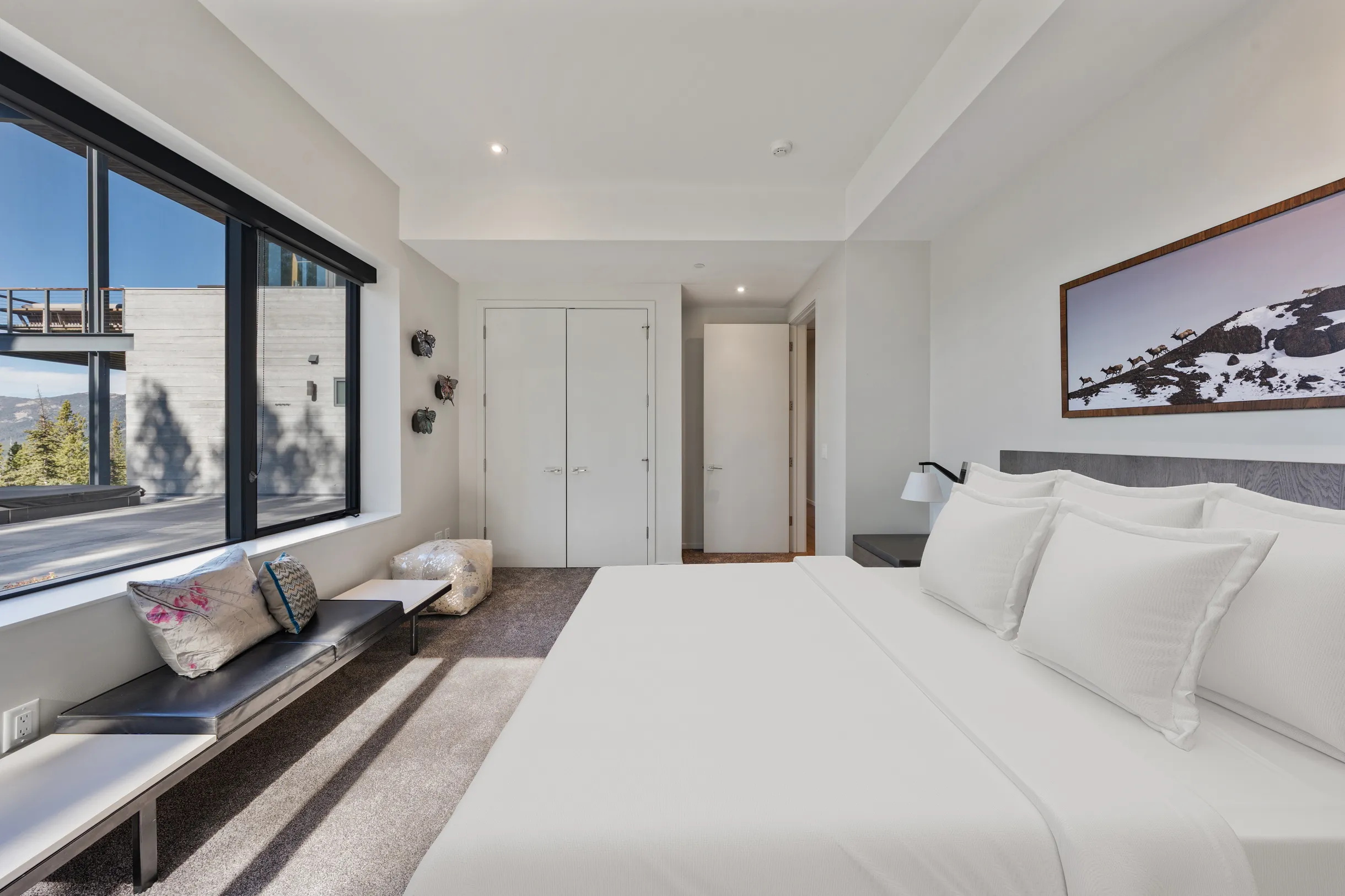 Wander Big Sky Vista #62