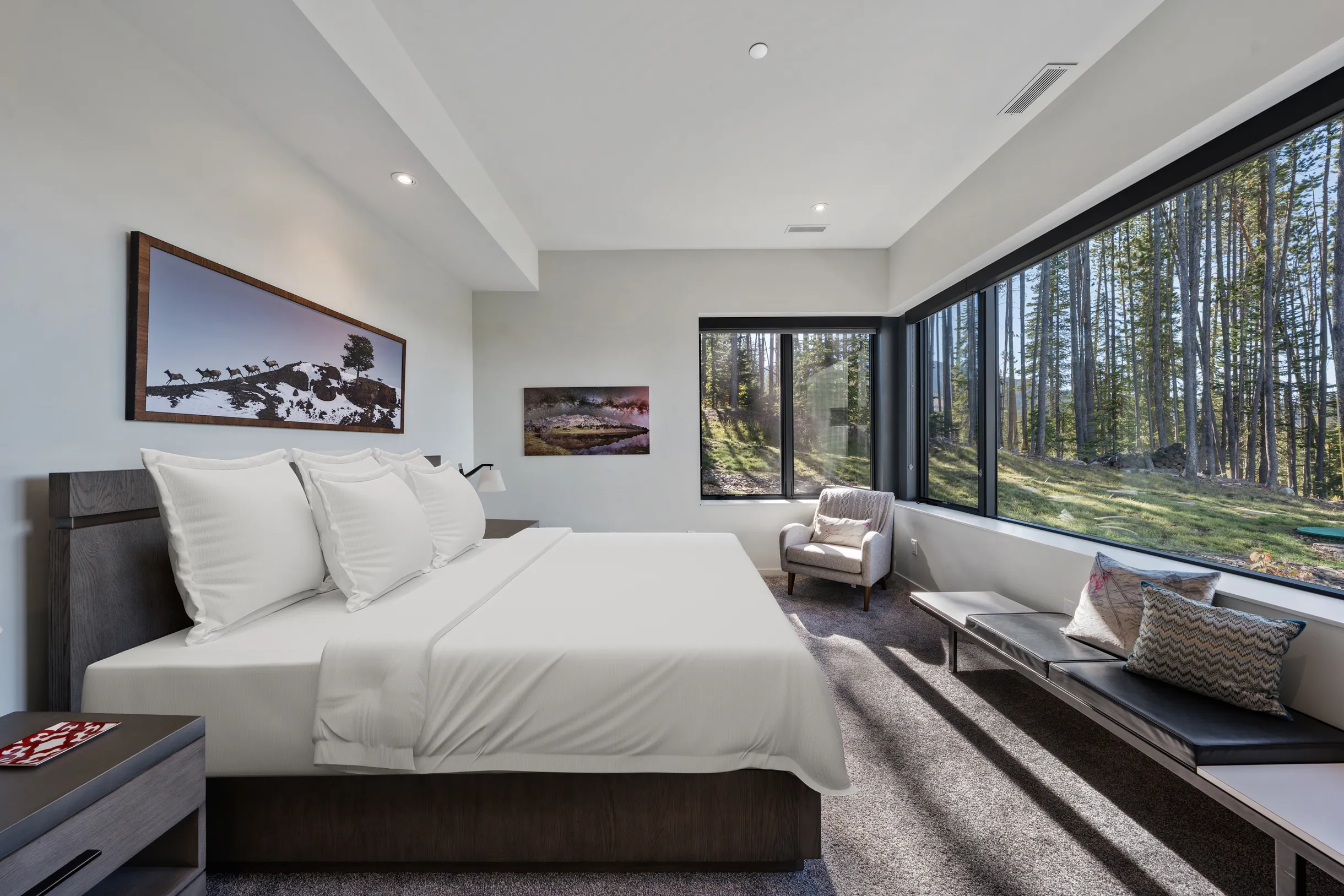 Wander Big Sky Vista #75