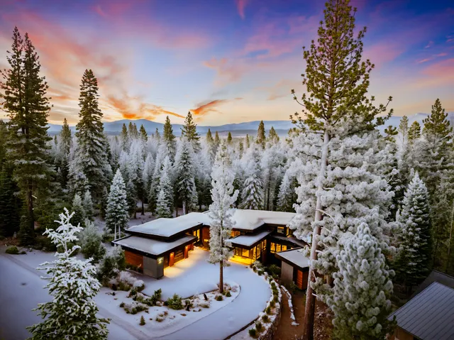 Wander Truckee Pines #2