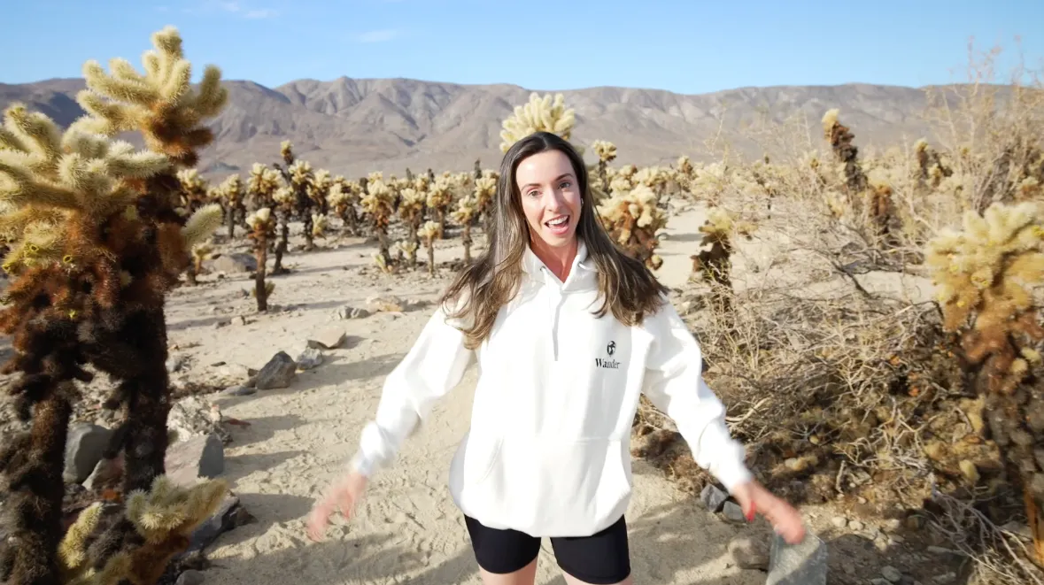 See the local activities