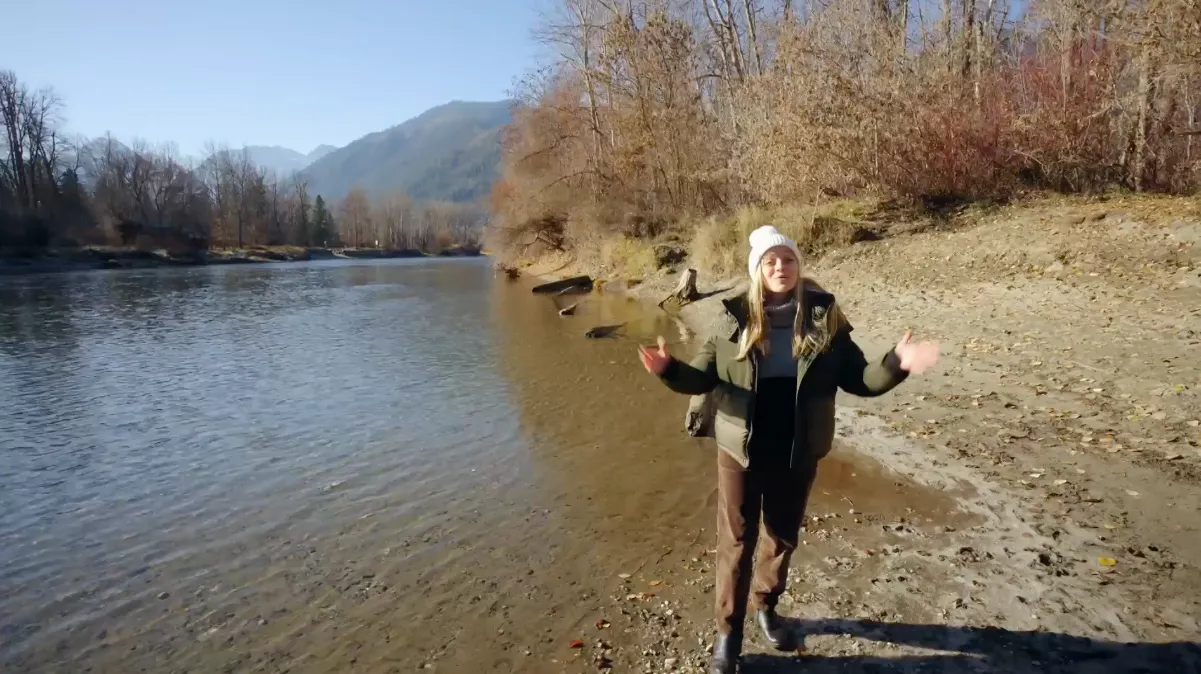 See the local activities