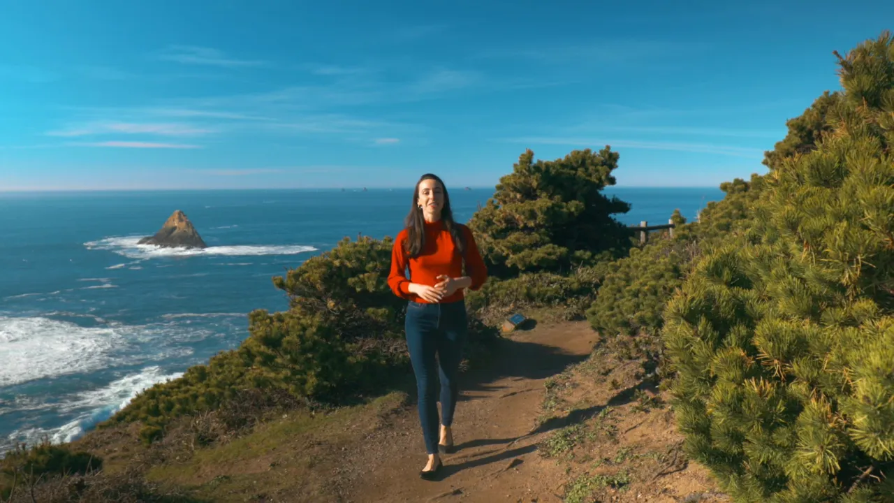 See the local activities