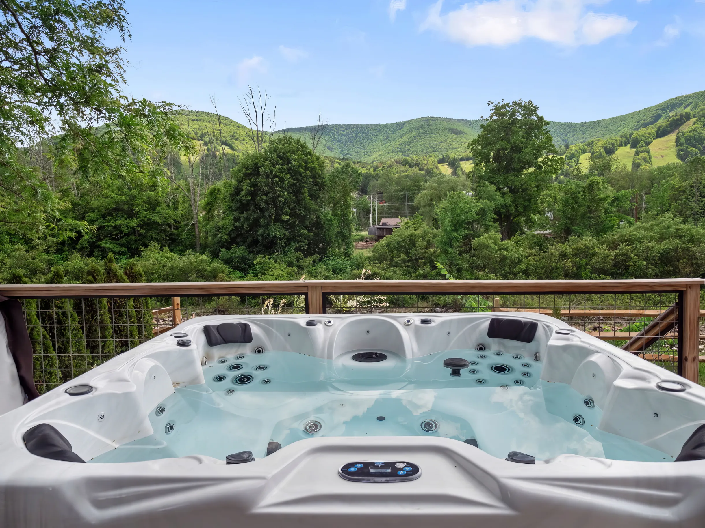 Wander Hunter Mountain Vista #4