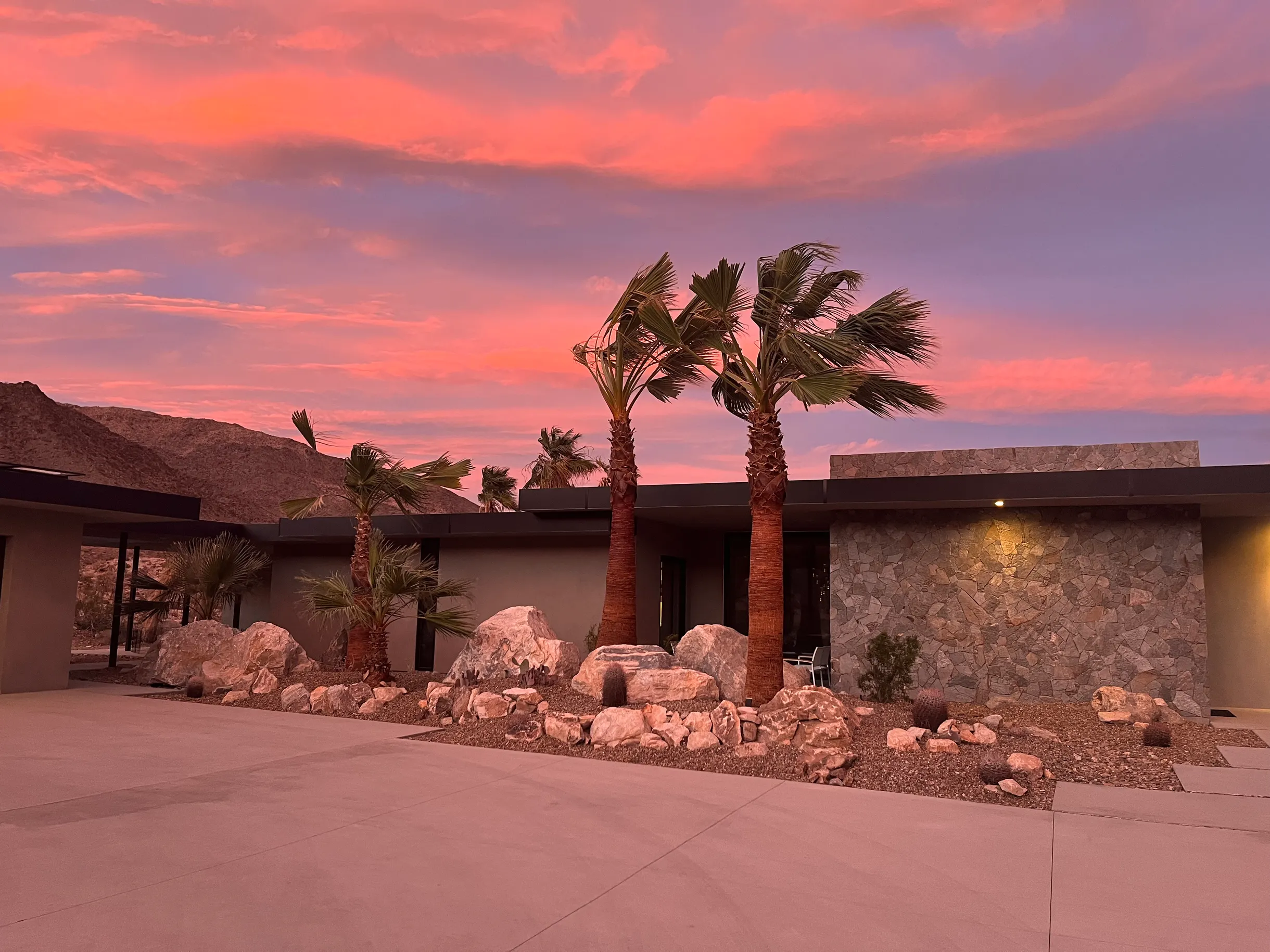 Wander Palm Desert Oasis #38