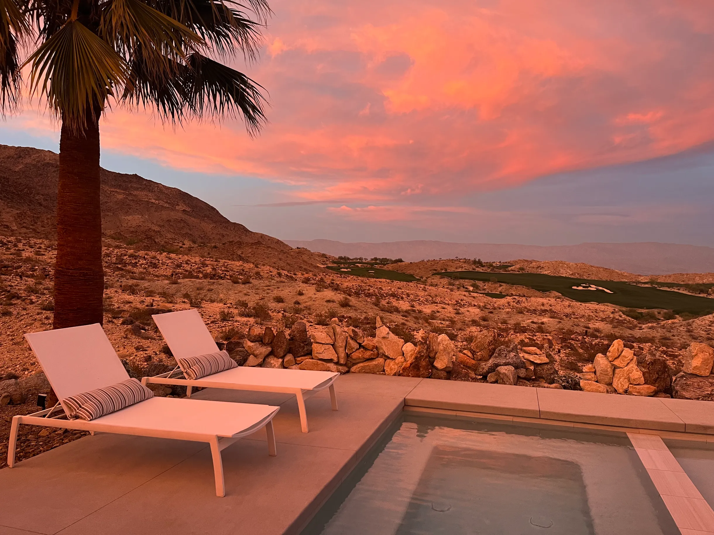 Wander Palm Desert Oasis #32