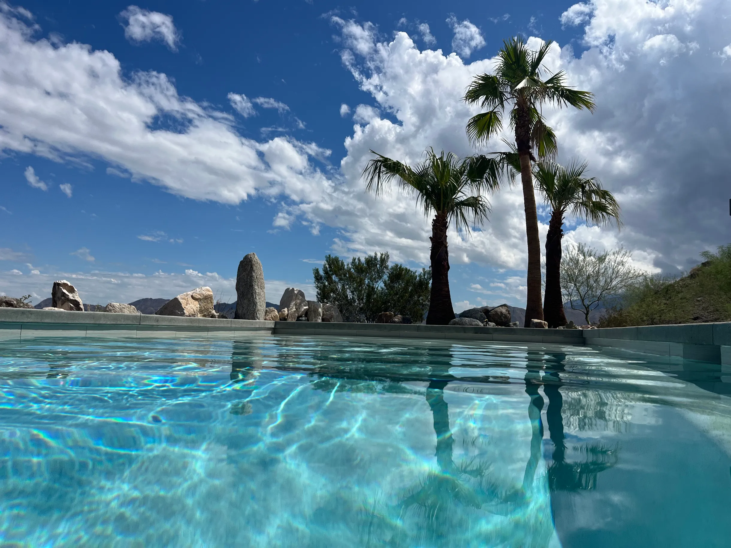 Wander Palm Desert Oasis #33