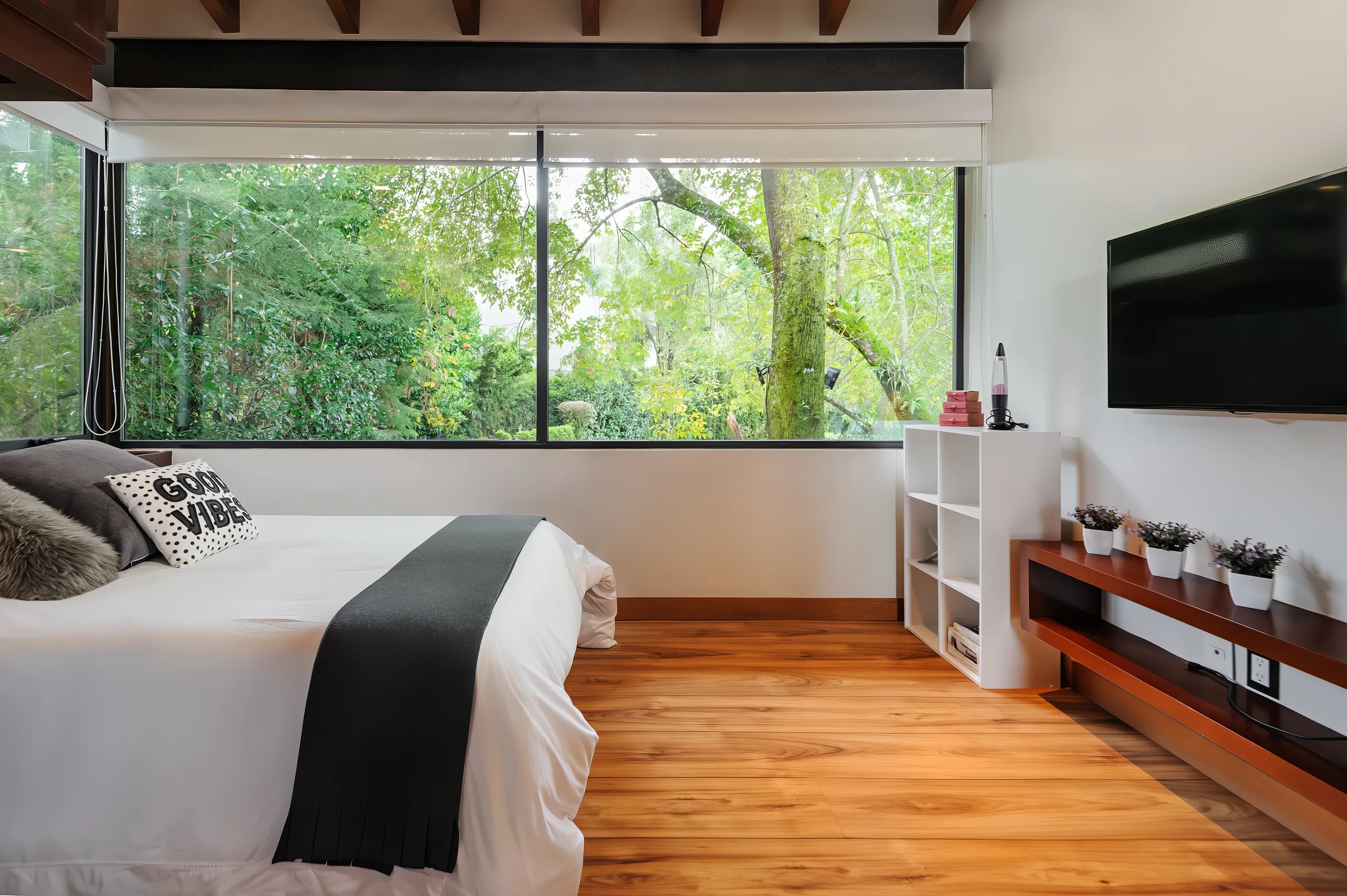 Wander Valle de Bravo Modern #38