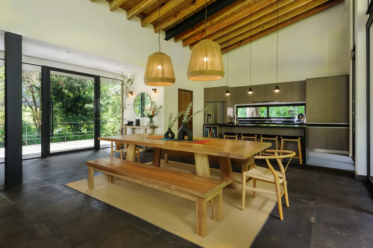 Wander Avandaro Forest