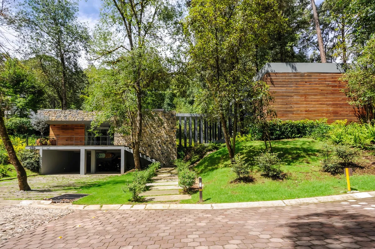 Wander Avandaro Forest