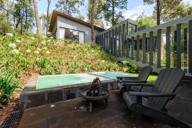 Wander Avandaro Forest #2