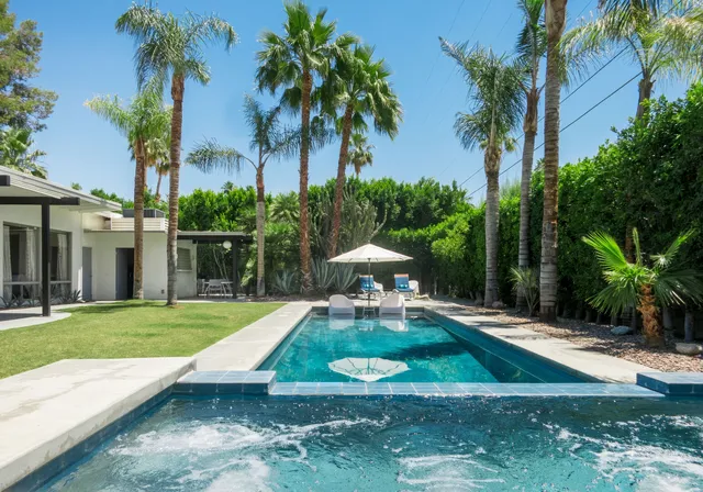 Wander Palm Springs Lush #2