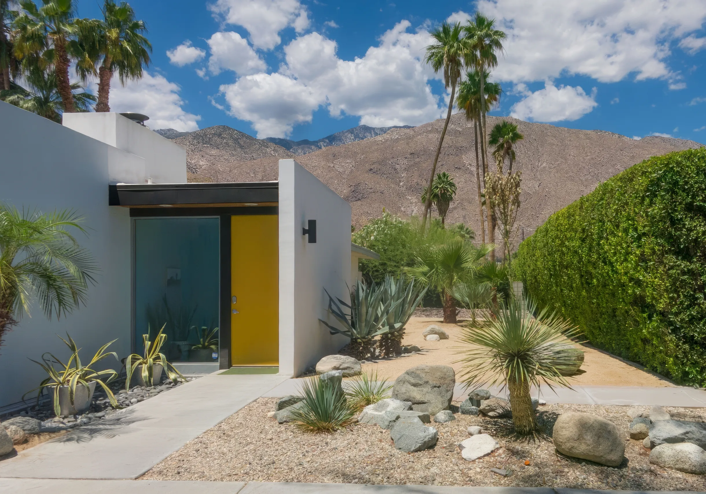 Wander Palm Springs Lush #5