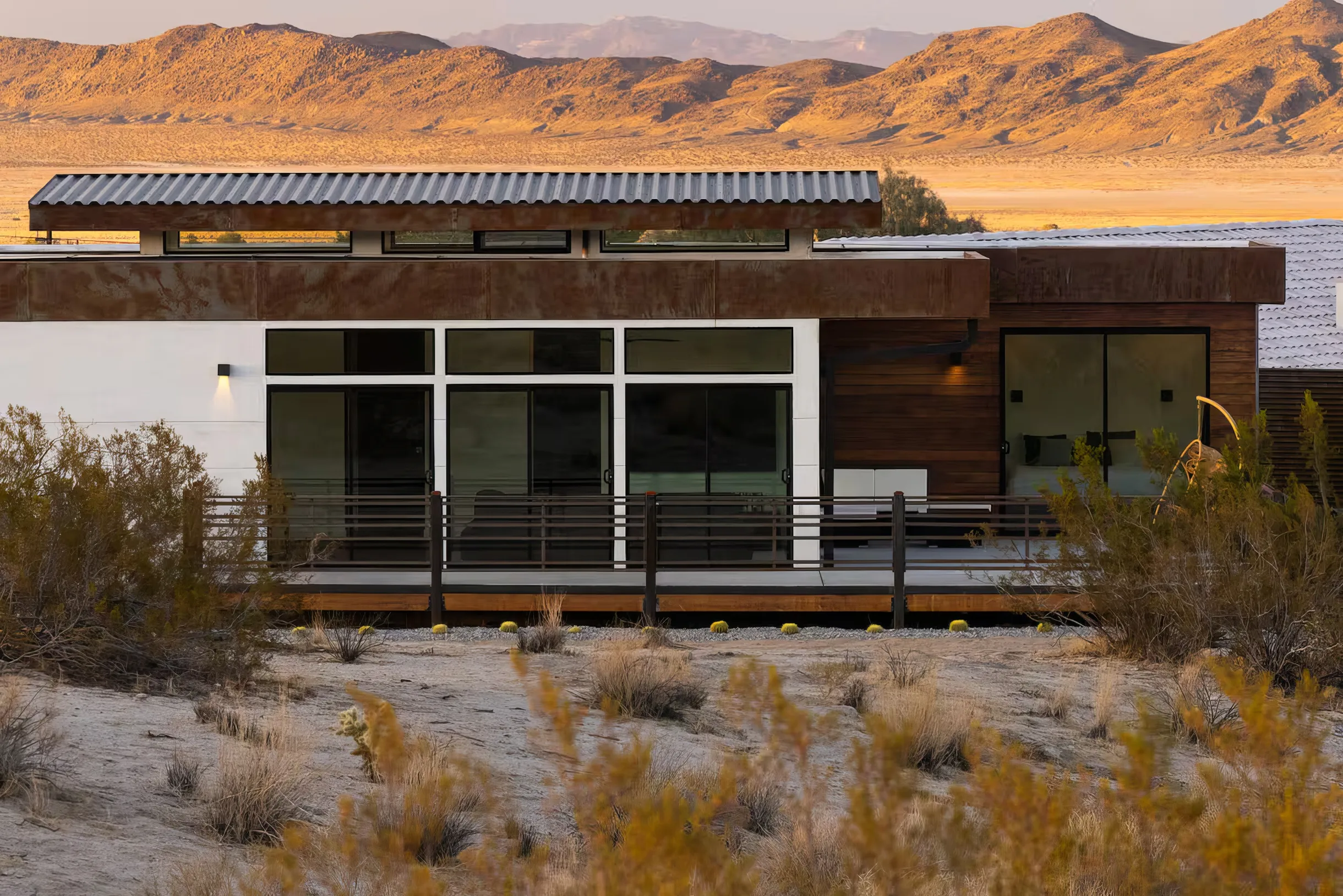 Wander Joshua Tree Edge #5