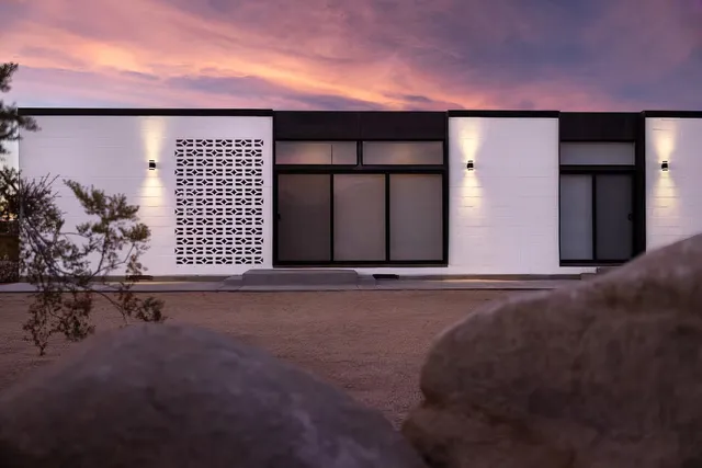 Wander Joshua Tree Terra #5